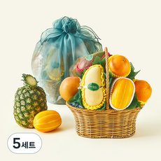 온브릭스 과일바구니 6종 중형 3호 3.5kg + 보자기, 5세트
