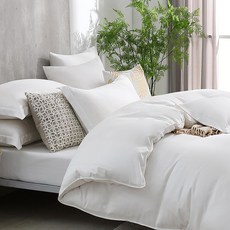 鴻宇 寢具組 天絲300織 萊賽爾 法西拉, 床包 + 枕套, 單人, T20151