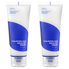 이즈앤트리 히아루론산 아쿠아 젤크림, 100ml, 2개