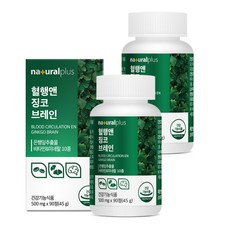 내츄럴플러스 혈행엔 징코 브레인 45g, 90정, 2개
