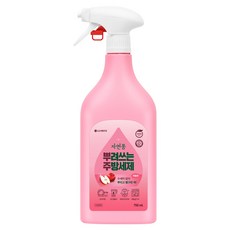 자연퐁 뿌려쓰는 주방세제 용기형 애플향, 750ml, 1개
