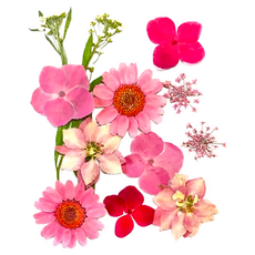 A-ONE 匯旺 真花壓花 小花包 AA02 2入 1個, 春色宣人