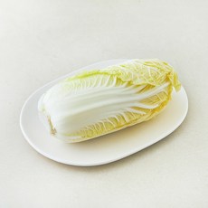 전남 진도 알배기, 450g, 1개, 1개입 450g, 1개, 1개입