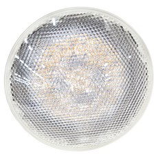 DANCELIGHT 舞光 PAR38 LED E27 28W防水投射投射燈泡, 黃光, 1個