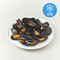자숙 피홍합 (냉동), 1kg, 1개