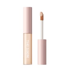 더샘 커버 퍼펙션 픽실러 6.5g, 1개, 01클리어베이지