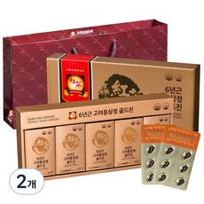 고려인삼유통 6년근 고려홍삼정 골드진 120정 + 쇼핑백, 2박스