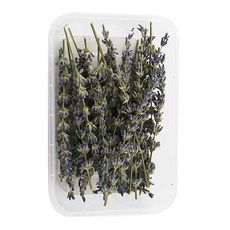 A-ONE 匯旺 乾燥花10件組, 乾薰衣草