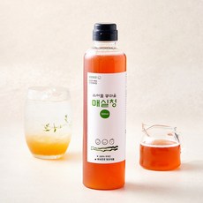 언양메주 언양전통식품 매실청, 1개, 500ml