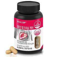 웰업 로엘 밀크씨슬 케어 45g, 1개, 90정