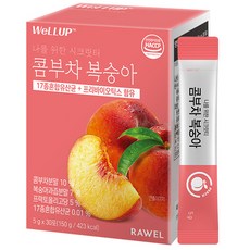 웰업 로엘 콤부차 복숭아, 5g, 1개, 30개입