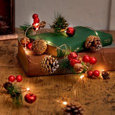 ASPASIA松果造型燈串 20顆入 2m, 混色, 1組