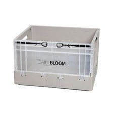 DAILY BLOOM IS Living 日常房間折疊箱, 隨機發貨, 1個