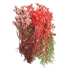 A-ONE 乾燥花 Set 3個, 天然乾燥花束 花圈 手腕花 手工藝品 浮游花藝 壓花燈具, A07