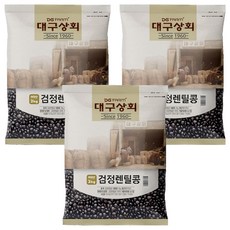 대구상회 검정렌틸콩, 2kg, 3개