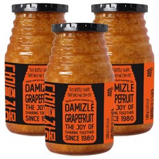 다미즐 자몽 액상차, 1kg, 1개입, 3개