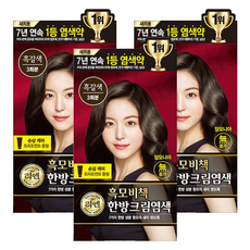 리엔 흑모비책 새치염색 크림, 흑갈색, 3개