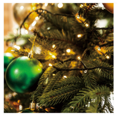 WITHSTAR 聖誕樹綠線LED燈泡, 暖色