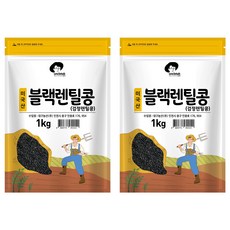 엉클탁 미국산 블랙렌틸콩 검정렌틸콩, 1kg, 2개