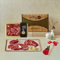 농협안심한우 1++등급 채반 선물세트 1호 등심 500g + 채끝 300g + 안심 200g (냉장), 1세트