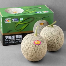 굿뜨래 GAP 인증 부여 고당도 멜론 2개입, 1박스
