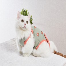 seipet 貓咪 Bandi 術後服, 橘綠熊