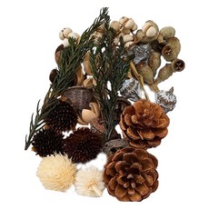 A-ONE 匯旺乾燥花 B11 綜合乾果盒 2入