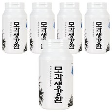 산해랑 모과생강환, 5개, 300g