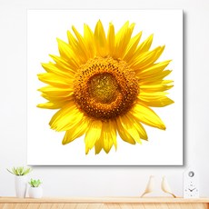 므뮤 돈들어오는 돈벼락 재물가득 해바라기 캔버스 그림 인테리어 액자, 2번