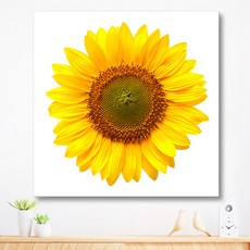 Memyu 招財錢滾滾 財富滿滿 向日葵油畫 居家裝飾畫框, 3號