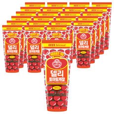 오뚜기 델리 토마토 케찹, 300g, 24개