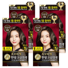 리엔 흑모비책 새치염색 크림, 흑갈색, 4개