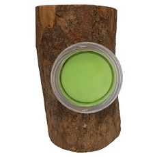 甲蟲單孔果凍皿 圓棒型 A-A114, 棕色, 1個