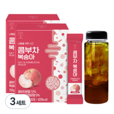 참앤들황토농원 데이앤 콤부차 복숭아 5g 30개입 x 2p + 전용보틀, 150g, 3세트