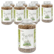 갑당약초 차전자피환, 400g, 8개