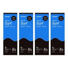 씨드비 물염색 비건 새치커버 염색약 40g 4회분, 내추럴블랙, 4개