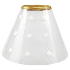 DING DONG PET 寵物暗扣式伊莉莎白項圈, 1個, 透明色