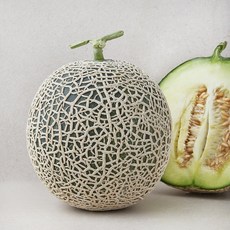 곰곰 GAP 당도선별 나주 세지멜론, 1.6kg, 1개