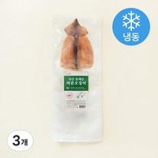 국내산 동해안 마른 오징어 (냉동), 75g, 3개