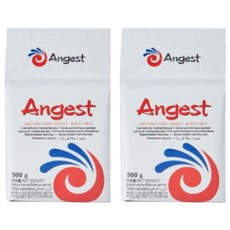 엔지스트 인스턴트 이스트, 500g, 2개