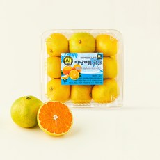 바당보름 AI 당도선별 감귤, 1개, 800g(로열과)