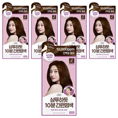 엘라스틴 샴푸하듯 10분 간편 염색제, 자연갈색, 5개