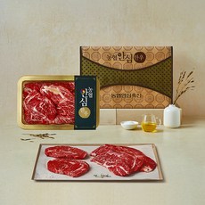 농협안심한우 1등급 등심 채반 선물세트 4호 (냉장), 1kg, 1박스