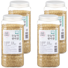 월드그린 싱싱영양통 무농약 현미, 2kg, 4개