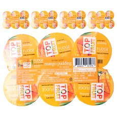 탑플룻 망고 푸딩 6개입, 690g, 5개
