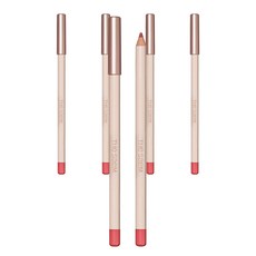 더샘 커버 퍼펙션 립 펜슬 2g, 10 어베인, 5개