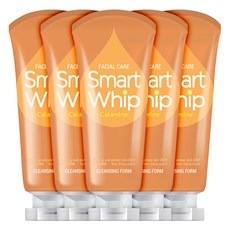 Fruit Nara Facial Care Smart Whip 膠原蛋白潔面泡沫, 225ml, 5條