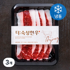 더숙성한우 차돌박이 3등급 구이용 (냉동), 200g, 3개