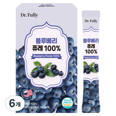 닥터풀리 블루베리 퓨레 100% 14p, 6개, 280g