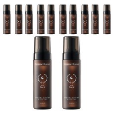 DRMOON 유산균 락토케어 질경초 여성청결제 폼타입, 200ml, 12개